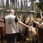 İHH, bu yıl 61 ülkede 3,5 milyon kişiye kurban ulaştırmayı hedefliyor