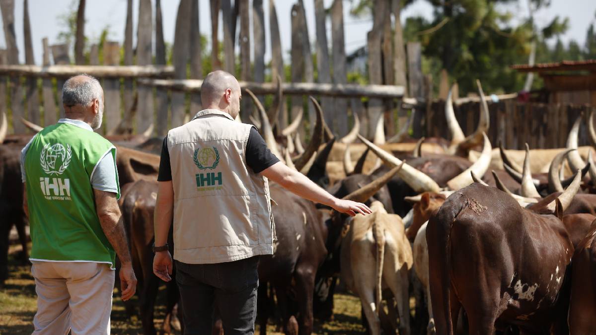 İHH, bu yıl 61 ülkede 3,5 milyon kişiye kurban ulaştırmayı hedefliyor