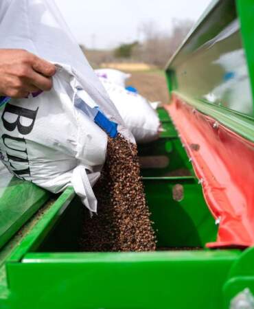 Ankara’da 2026 karabuğday ekim çalışmaları başladı