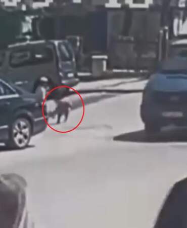 Ankara’da kamyonetin çarptığı Yakup Can, dedesinin elinden kaçmış
