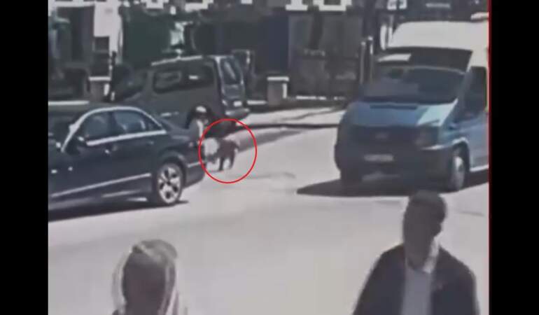 Ankara’da kamyonetin çarptığı Yakup Can, dedesinin elinden kaçmış