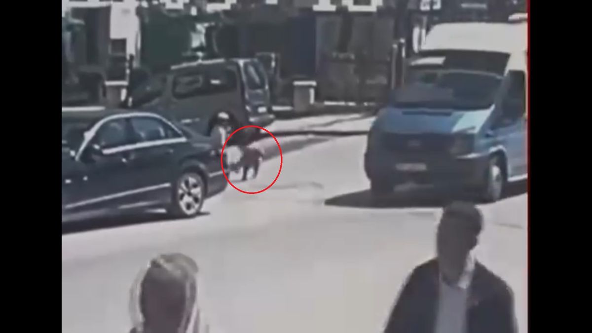 Ankara’da kamyonetin çarptığı Yakup Can, dedesinin elinden kaçmış