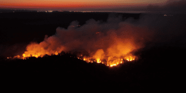 Beykoz’da Orman Yangını: Tam Kontrol Alına Alındı Derken…