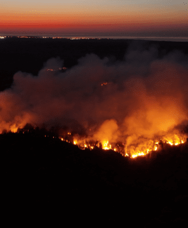 Beykoz’da Orman Yangını: Tam Kontrol Alına Alındı Derken…