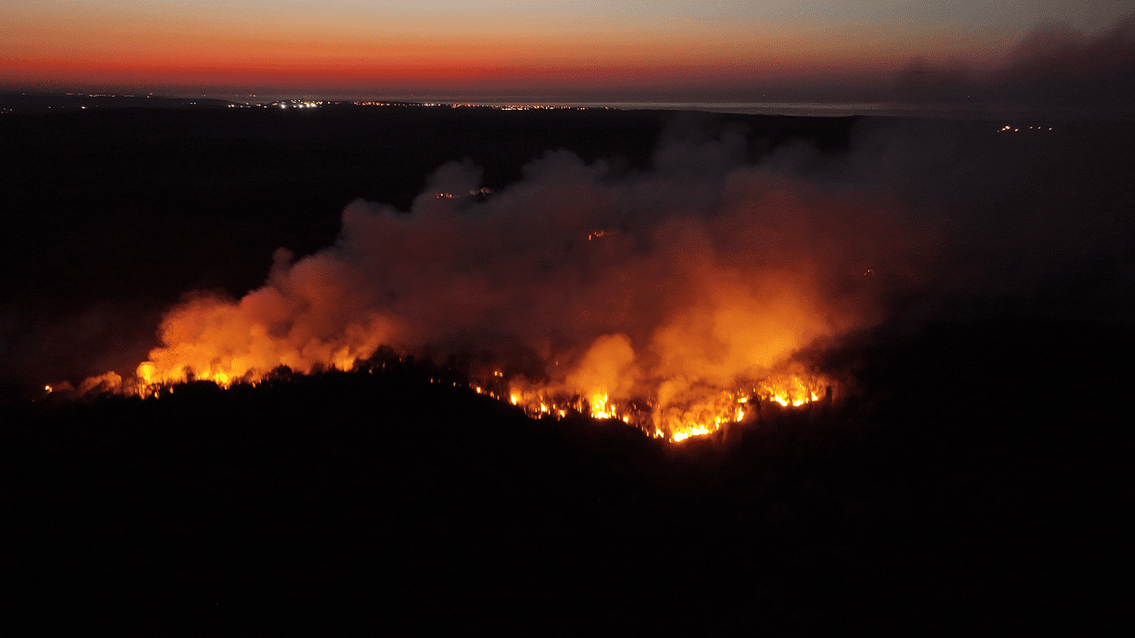 Beykoz’da Orman Yangını: Tam Kontrol Alına Alındı Derken…