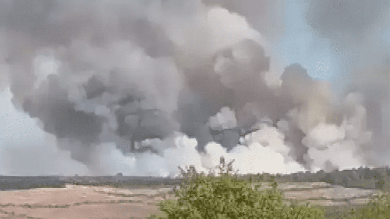 Beykoz’da Orman Yangını