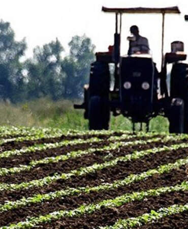 Çiftçinin Hesabına 19,5 Milyar TL Yatıyor: Bakan Yumaklı Saat Vererek Duyurdu