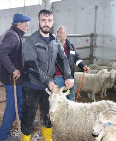 Çubuk’ta Kurbanlık Satışları Başladı