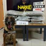 Düzce’de Uyuşturucu Taşıyan Şahıs Yakalandı