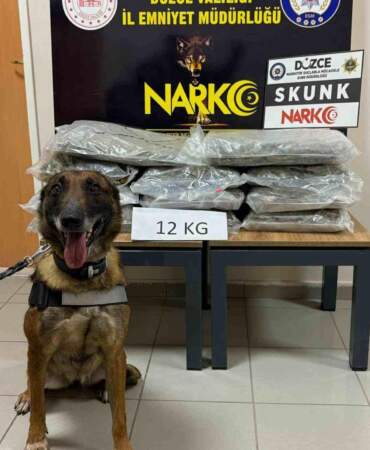 Düzce’de Uyuşturucu Taşıyan Şahıs Yakalandı