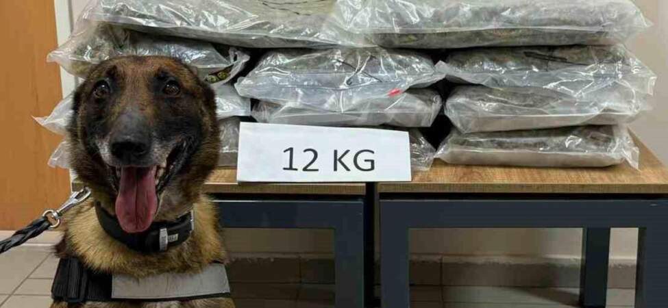 Düzce’de Uyuşturucu Taşıyan Şahıs Yakalandı