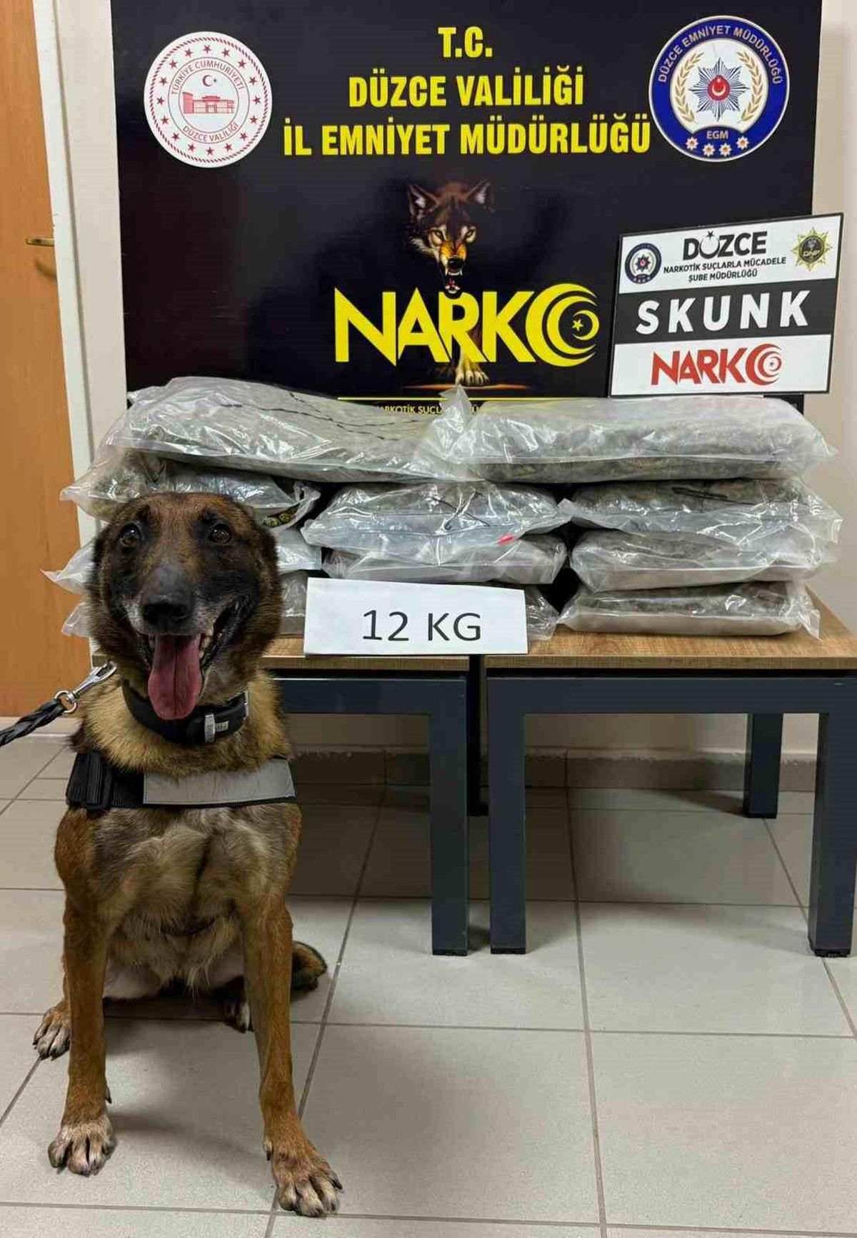 Düzce’de Uyuşturucu Taşıyan Şahıs Yakalandı