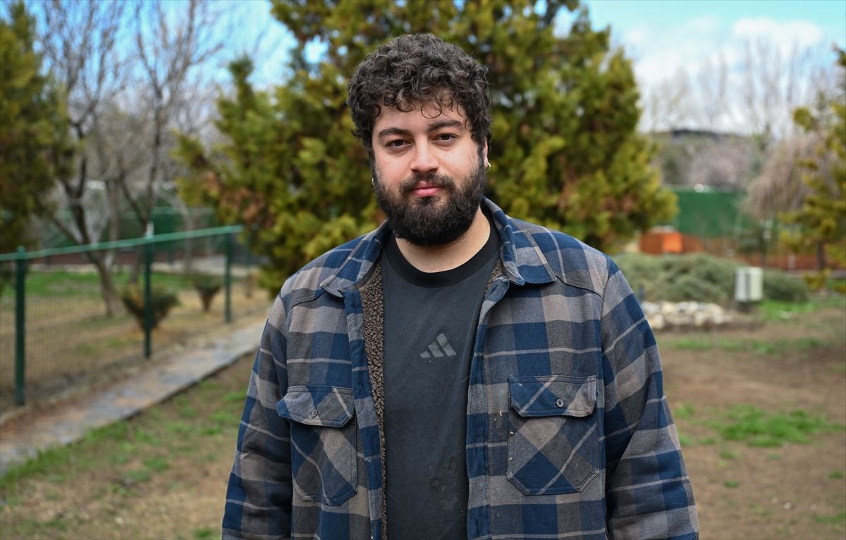 Sahipsiz Köpeklere İkinci Şans