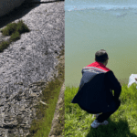 Tekirdağ’da Toplu Balık Ölümü Alarmı! İnceleme Başlatıldı