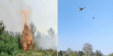 Valilik Duyurdu: Beykoz ve Çatalca’daki Orman Yangınları Kontrol Altında