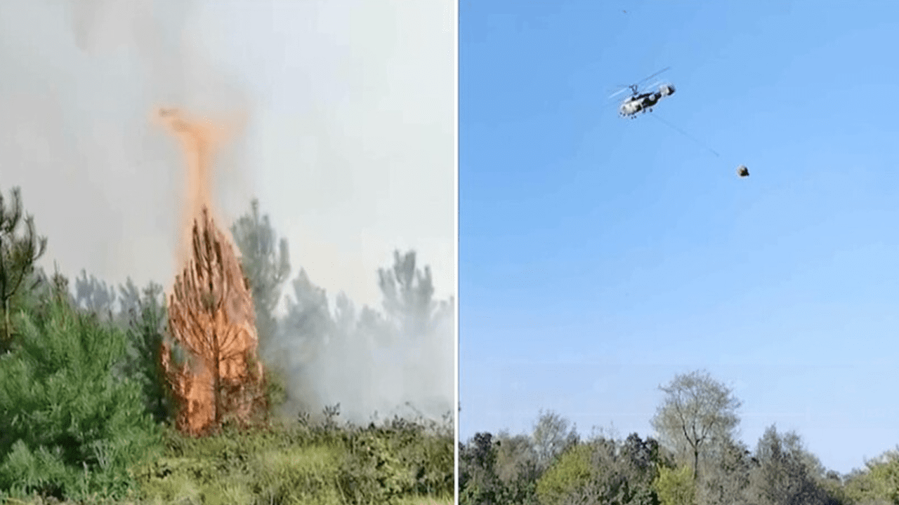 Valilik Duyurdu: Beykoz ve Çatalca’daki Orman Yangınları Kontrol Altında