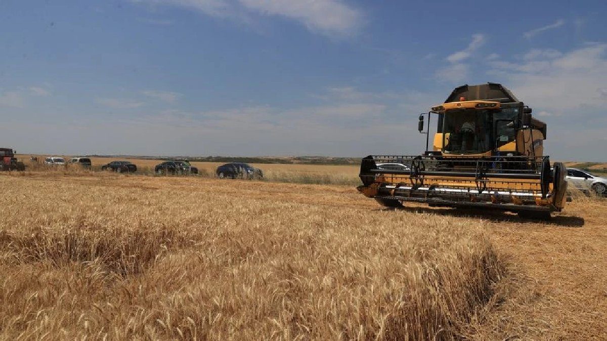 “1 Kilo buğdaydan sadece 8 simit çıkıyor!” Çiftçinin gözü TMO’da: İşte beklenen alım fiyatı…