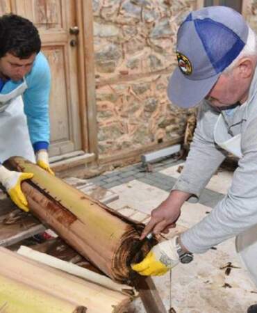 Atık ürünler modaya dönüşüyor! Muz gövdeleri artık gardıroplarda yer alacak