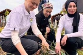 Kendileri yetiştirdi kendileri topladı! Fakülte hasadı başladı