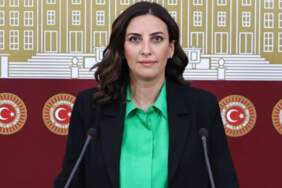 CHP’li Evrim Rızvanoğlu: Bu ülkenin ormanları sahipsiz değil