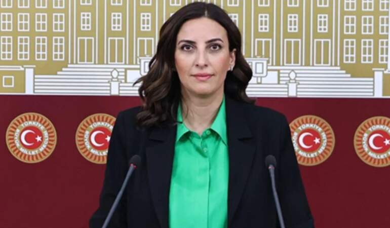 CHP’li Evrim Rızvanoğlu: Bu ülkenin ormanları sahipsiz değil