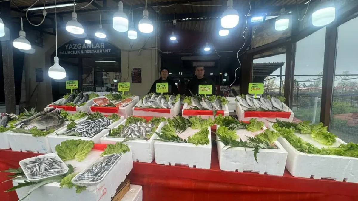 Av yasağı başladı fiyatlar arttı! Kilosu 500 TL oldu