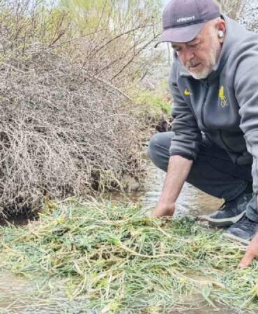 Kilosu 600 TL’yi gördü! Yere çöküp tek tek topluyorlar
