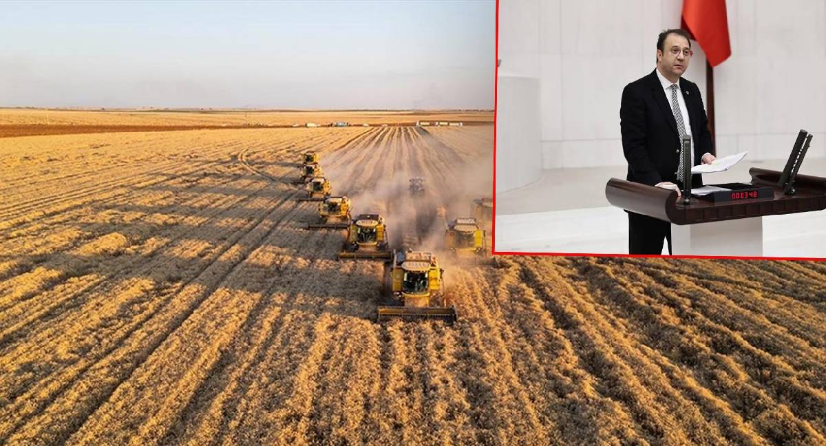 Devletin 200 milyonluk fıstığı buhar oldu! Sahte evrak iddiası Meclis’i karıştırdı