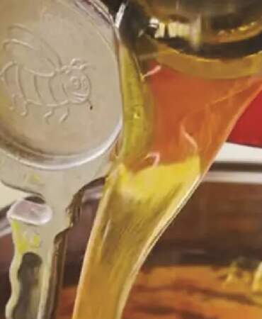 Kilosu 1.500 TL’den satılıyor! Cep dolduran hasat başladı