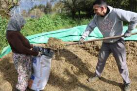 Bahar yağışı bereketiyle geldi! Hayvancılık sektörüne ek gelir kapısı açıldı