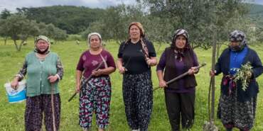 Akbelen’de direniş sonuç verdi: Kamulaştırma kararı askıya alındı