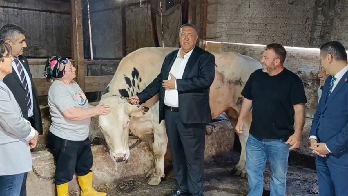 Lüks villaların arasına sıkışan üreticinin isyanı: “Biz varken o villalar yoktu, yer gösterin çıkalım”