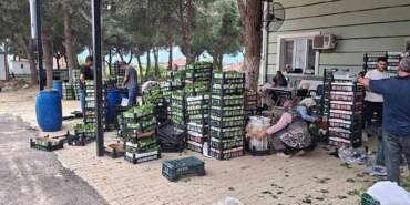 Sabah erkenden mesai başlıyor! Tüccarlar kilosunu 100 TL’den alıyor