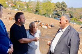 İstanbul’da hayvancılık can çekişiyor: 30 yıllık üreticiden “1-2 seneye işi bırakırım” resti