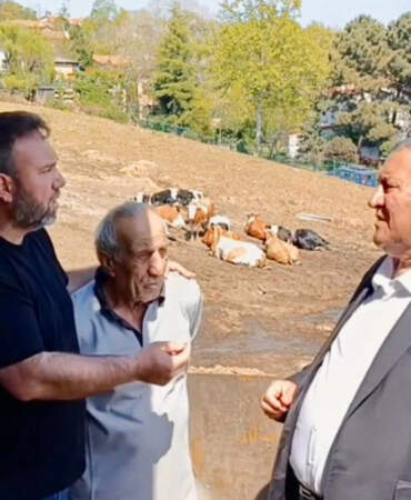 İstanbul’da hayvancılık can çekişiyor: 30 yıllık üreticiden “1-2 seneye işi bırakırım” resti