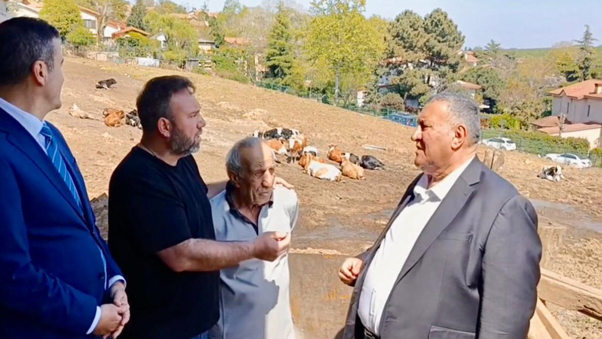 İstanbul’da hayvancılık can çekişiyor: 30 yıllık üreticiden “1-2 seneye işi bırakırım” resti