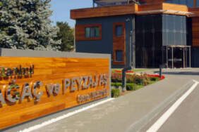 Ağaç ve Peyzaj A.Ş.’ye operasyonda 20 kişiye tutuklama talebi