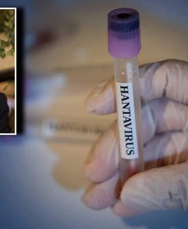 Gemide ‘Hantavirüs’ kabusu, 3 ölü! Herkes “yeni bir pandemi mi başlıyor?” diye sorarken Türk uzmandan yüreklere su serpen aç