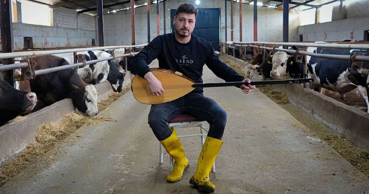 Kurbanlık hayvanlarına saz çalıp, türkü söylüyor! Özel ilgisi, hayvanların yağ oranın düşürüyor