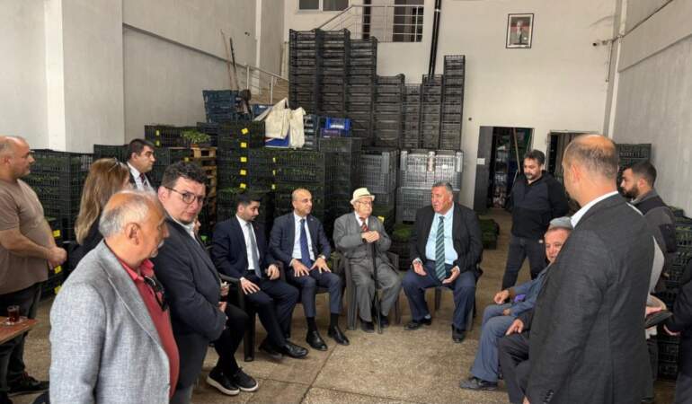 “Çilek ve erik lüks oldu!” Kayseri Halinde acı tablo: 118 dükkanın çoğunda yok