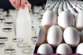 TÜİK: Martta süt üretimi geriledi, yumurta üretimi yükseldi