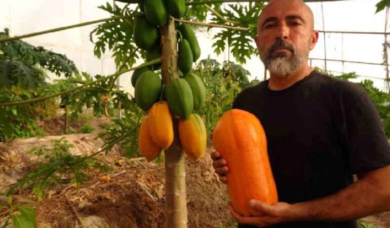 Özenle toplanıyor, bir çok kişi tadını bilmiyor! Antalya’da hasadı başladı: 90 TL’den satılıyor