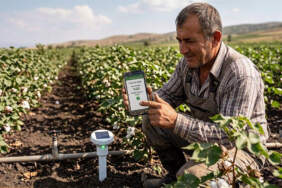 Akıllı tarım nedir, nasıl yapılır? Tasarruflu sulama nasıl olur? Tarımda su israfı nasıl önlenir? Çiftçinin enerji maliyetini düşürüyor