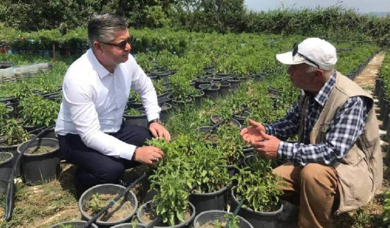 Az suyla yetişiyor, üreticilerin yeni gözdesi oluyor: Şekerden daha çok tat veriyor: Kilosu 1750 TL