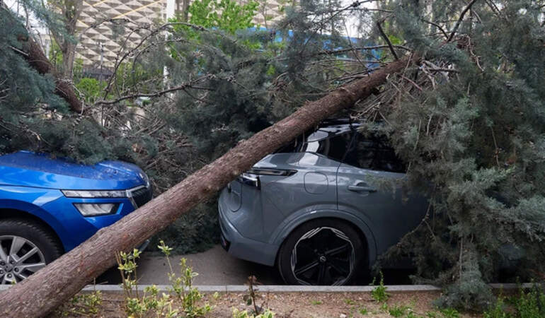 Başkentte rüzgar kaosu! Araçlar devrilen ağaçların altında kaldı