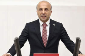 CHP’li Genç: Ruhsatsız silahlanma alarm veriyor