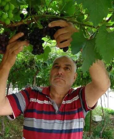 İşçiliği az, getirisi iyi! ‘Siyah inci’ hasadı başladı, kilosu 250 TL