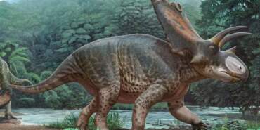 Tayland’da 100 milyon yıllık dev dinozor keşfi: Yeni tür ortaya çıkarıldı