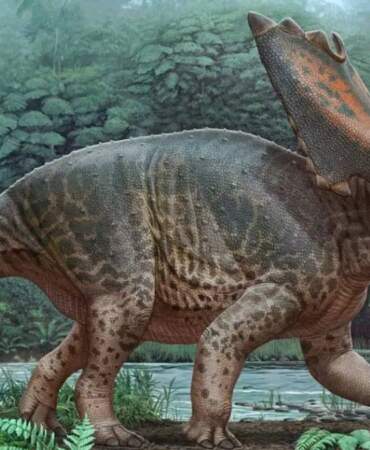 Tayland’da 100 milyon yıllık dev dinozor keşfi: Yeni tür ortaya çıkarıldı