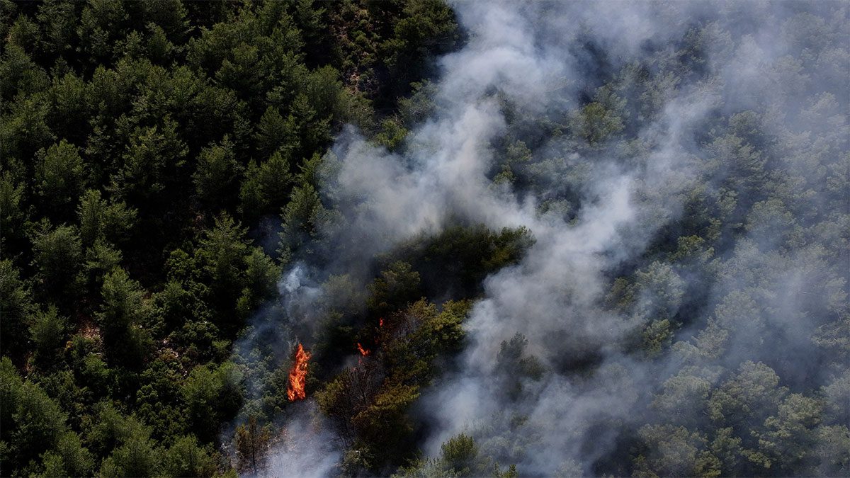 Fethiye’de orman yangını! Havadan ve karadan müdahale sürüyor